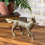Gold Fox