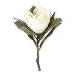 17" White Magnolia Stem