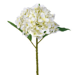 20" Cream White Hydrangea Stem