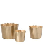 Delicata Pot