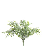 21" Ruscus Bush