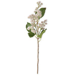 20" Pink Meadowsweet Stem