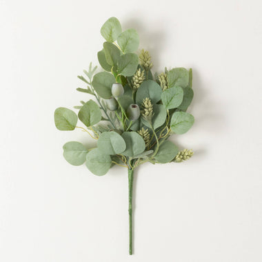 18" Green Pod Eucalyptus Pick