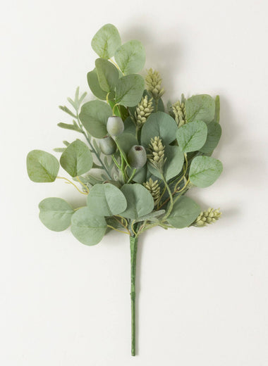 18" Green Pod Eucalyptus Pick