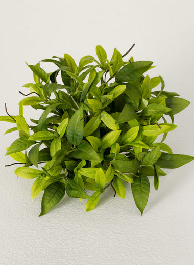 Ruscus & Twig Orb