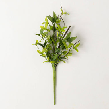 19" Ruscus & Twig Pick