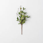 16" Ruscus Leafy Twig Pick