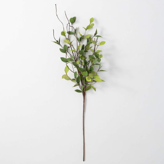 31" Ruscus Spray