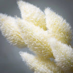 25" Cream Cone Stem