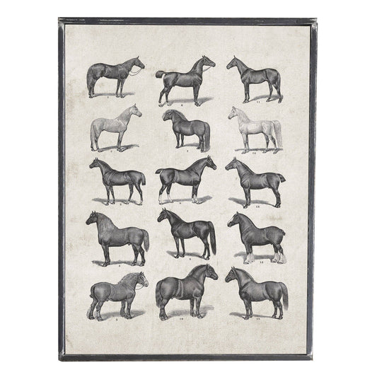 Vintage Horse Chart Print in Distressed Frame