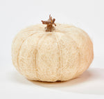 8" Coco Pumpkin - Bleached