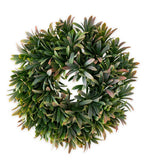 12.5" Laurel Leaves Wreath