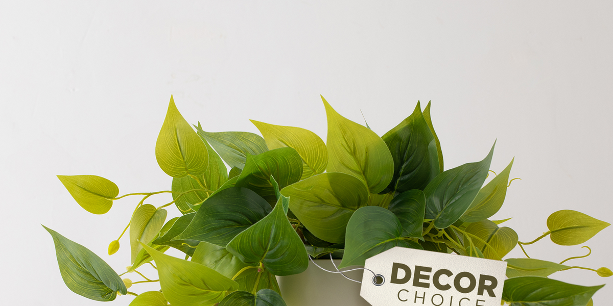Pothos in White Pot Faux Indoor Plant Linen & Clove