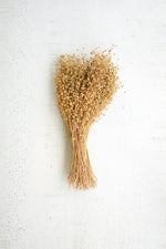 Natural Lino Stem Bundle