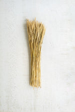 Natural Wheat Stem Bundle