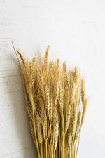 Natural Wheat Stem Bundle