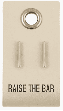 Raise the Bar Earrings