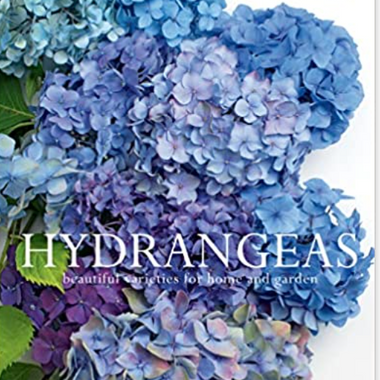 Hydrangeas: Beautiful Varieties for Home and Garden Book
