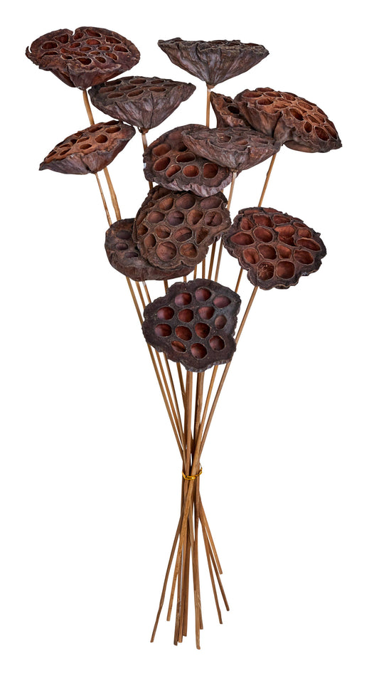 Single Lotus Pick