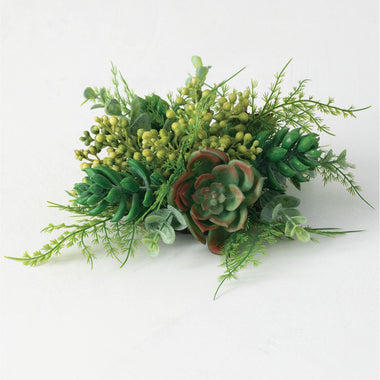 Succulent Half Orb