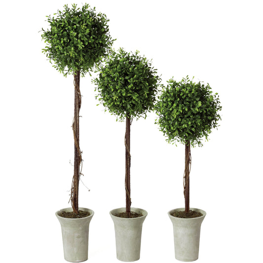Boxwood Topiaries - Medium